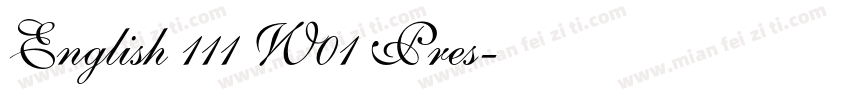English 111 W01 Pres字体转换
